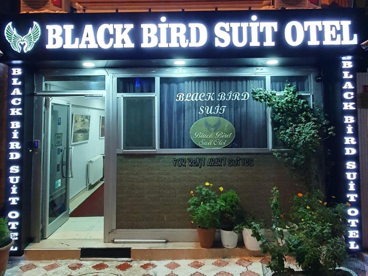 黑鸟套房酒店 伊斯坦布尔 外观 照片