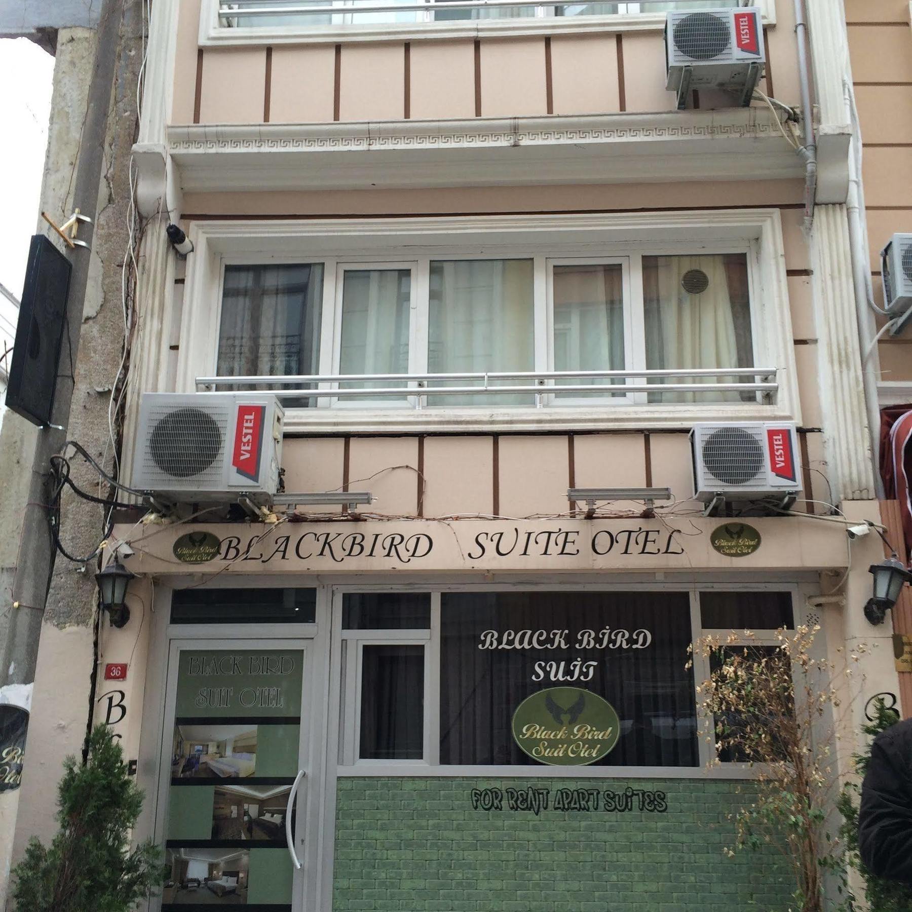 黑鸟套房酒店 伊斯坦布尔 外观 照片